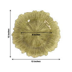 6-Pack Acrylic Plastic Round Charger Plates 13" in Transparent Dusty Sage Green with Reef Design, Dinner Charger Tableware