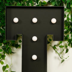 Giant LED Marquee Light Up Letter "T", Black 4ft Pre-Cut Foam Board with 10 Warm White Battery Operated LEDs, Glue Gun and Sticks