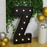 Giant LED Marquee Light Up Letter "Z", Black 4ft Pre-Cut Foam Board with 10 Warm White Battery Operated LEDs, Glue Gun and Sticks
