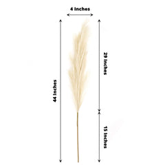 3 Stems Artificial Pampas Grass Decor Cream for Rustic Boho Chic Backdrops Floral Styling & Vase Displays 44"
