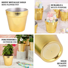 6 Pack 3" Gold Plastic Party Favor Bucket-Containers, Mini Succulent Nursery Planters, Flower Pot Crafts