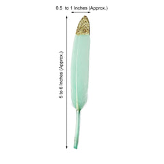 30-Pack Turkey Feathers Craft Feathers Glitter Gold Tip Mint - Decorative Feathers for DIY Party Projects