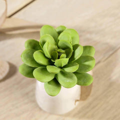 3 Pack 3" Artificial PVC Roundleaf Echeveria Stem Succulent Plants
