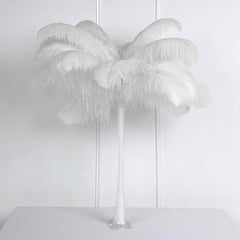 12 Pack White Natural Plume Ostrich Feathers Centerpiece Filler - 24"-26"