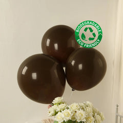 10 Pack Matte Pastel Cinnamon Brown Biodegradable Balloons 18", Round Eco-friendly Thick Latex Party Balloons