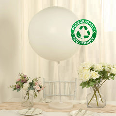 5 Pack Large Off White Biodegradable Balloons, 36" Thickened Extra Strong Eco-friendly Latex Helium Party Balloons