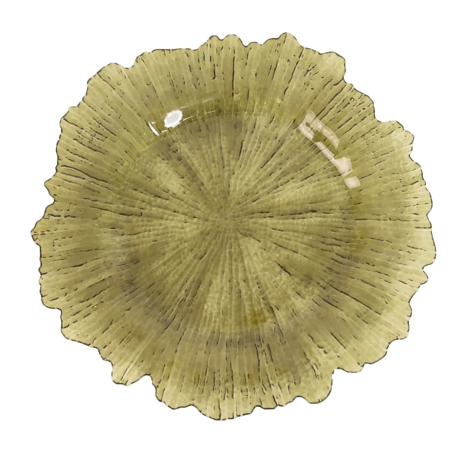 6-Pack Acrylic Plastic Round Charger Plates 13" in Transparent Dusty Sage Green with Reef Design, Dinner Charger Tableware