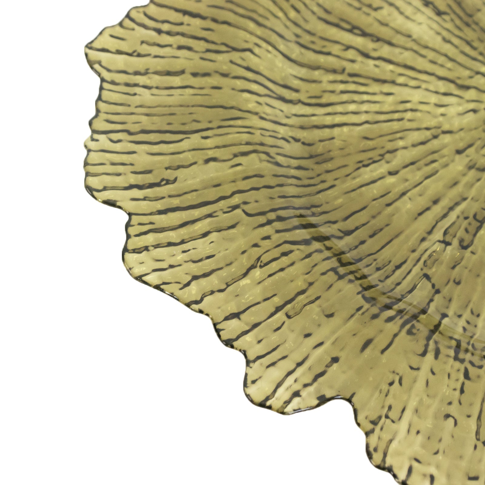 6-Pack Acrylic Plastic Round Charger Plates 13" in Transparent Dusty Sage Green with Reef Design, Dinner Charger Tableware