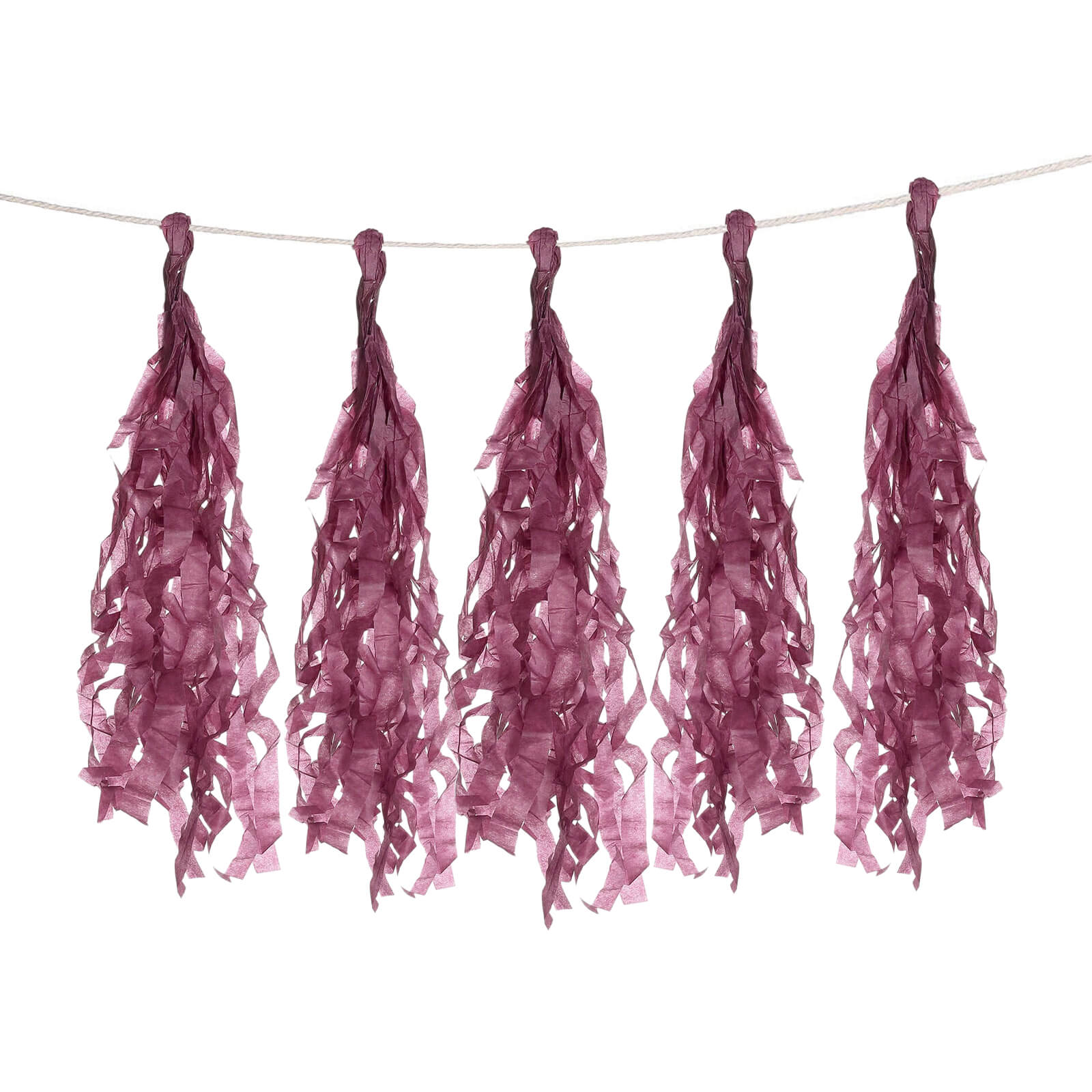 12 Pack Pre-Tied Eggplant Tissue Paper Tassel Garland With String, Hanging Fringe Party Streamer Backdrop Decor