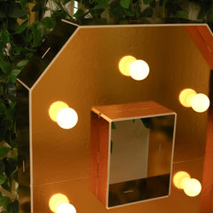 Giant LED Marquee Light Up Number "9", Gold 4ft Pre-Cut Foam Board with 10 Warm White Battery Operated LEDs, Glue Gun and Sticks