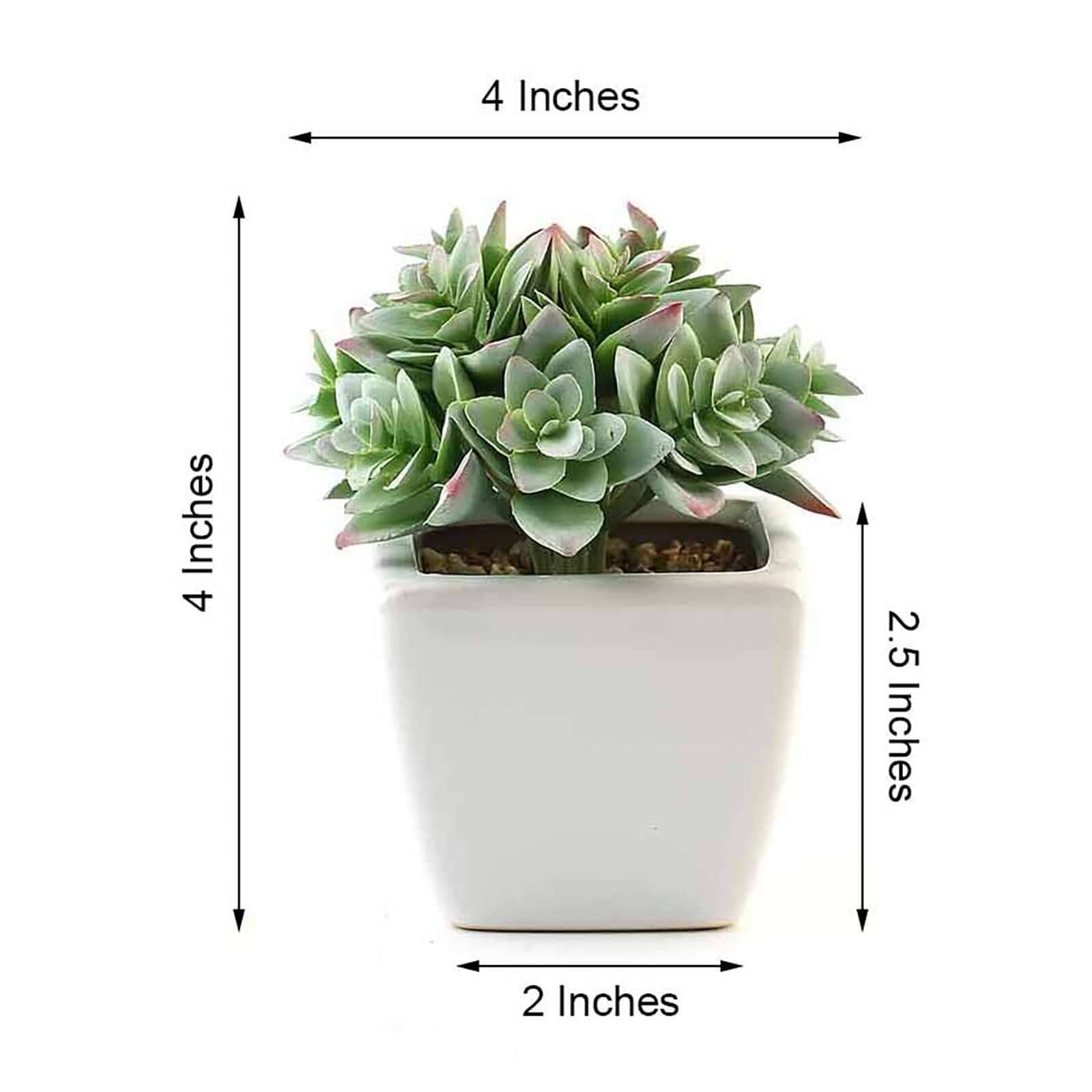 3-Pack Echeveria Artificial Succulents in Ceramic Pot Green - Lifelike Decorative Faux Plants for Home Office & Event Design 4"