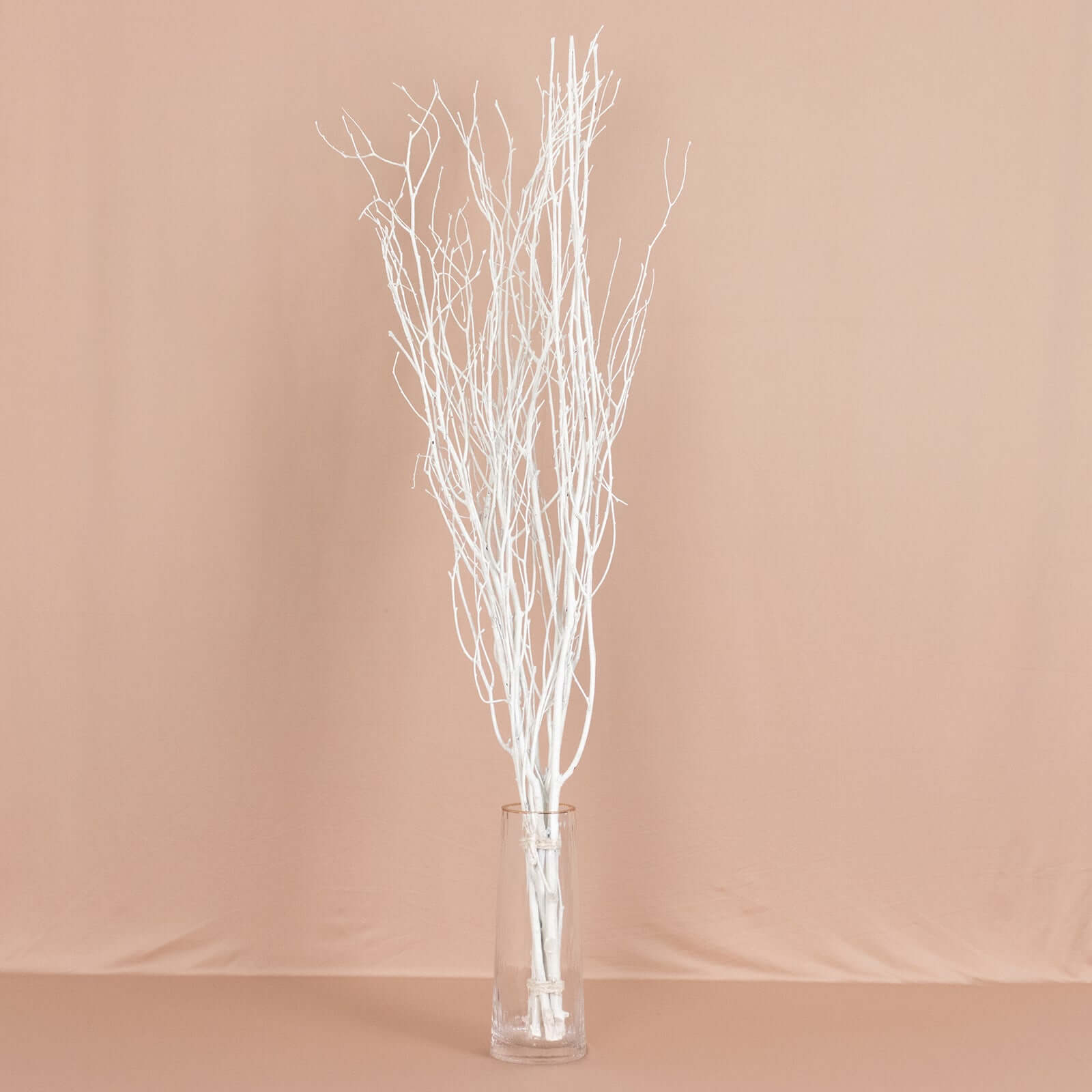 6-Pack Natural Birch Tree Branches 46" White - Versatile Extra Long Decorative Dried Willow Twigs Sticks for Vase Centerpiece Wedding Decor