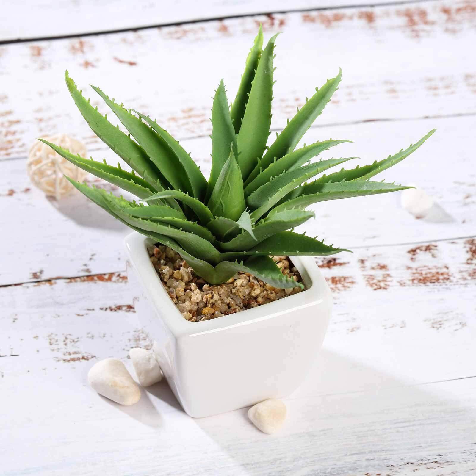 3-Pack Spotted Aloe Vera Artificial Succulents in Ceramic Pot - Lifelike Decorative Faux Plants for Home Office & Event Design 5"