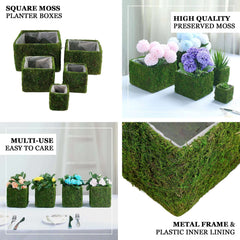 4-Pack Square Planter Boxes Covered with Inner Lining Green Preserved Moss - Flower Basket Centerpieces 6"