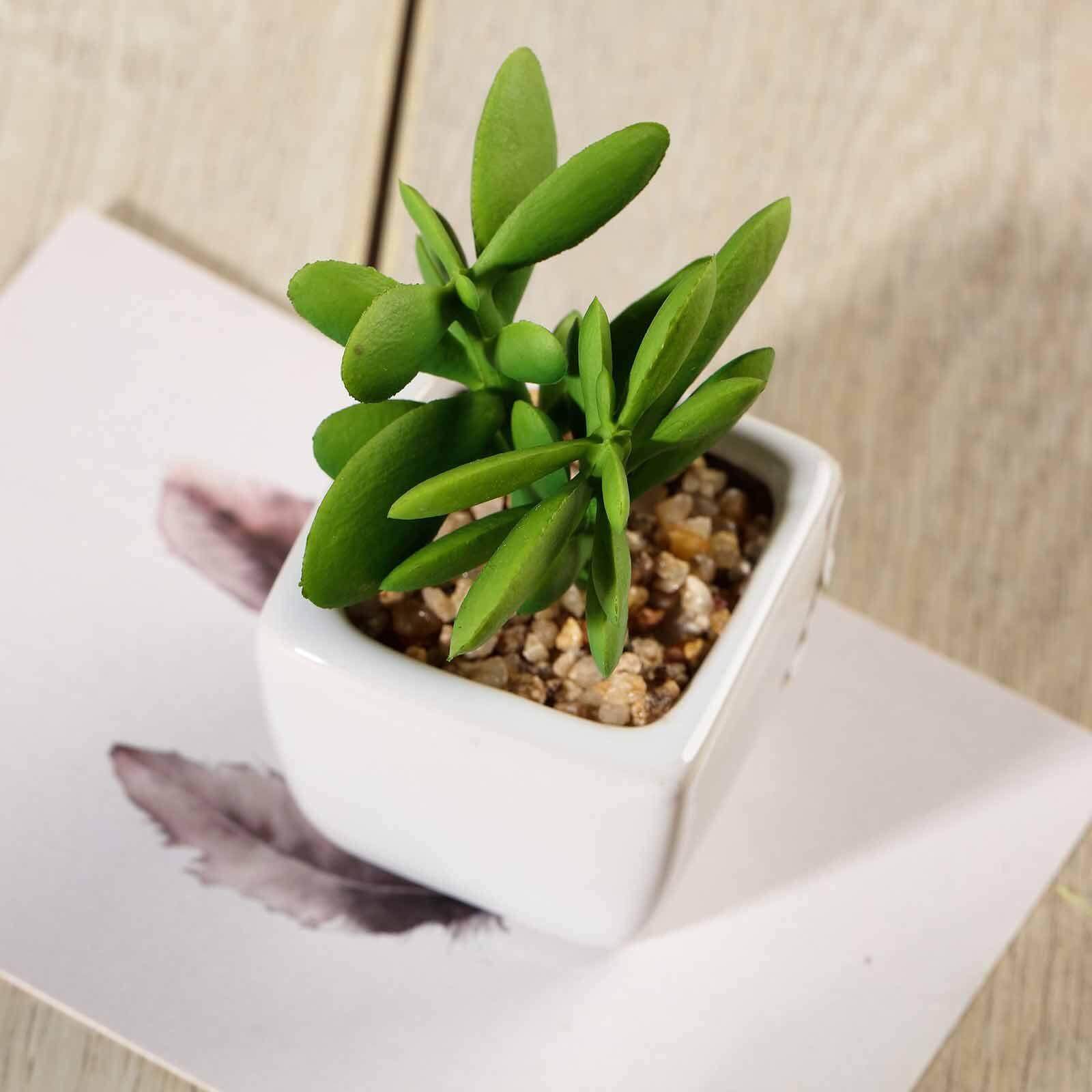 3-Pack Mini Jade Artificial Succulents in Ceramic Pots - Lifelike Decorative Faux Plants for Home Office & Event Design 3"