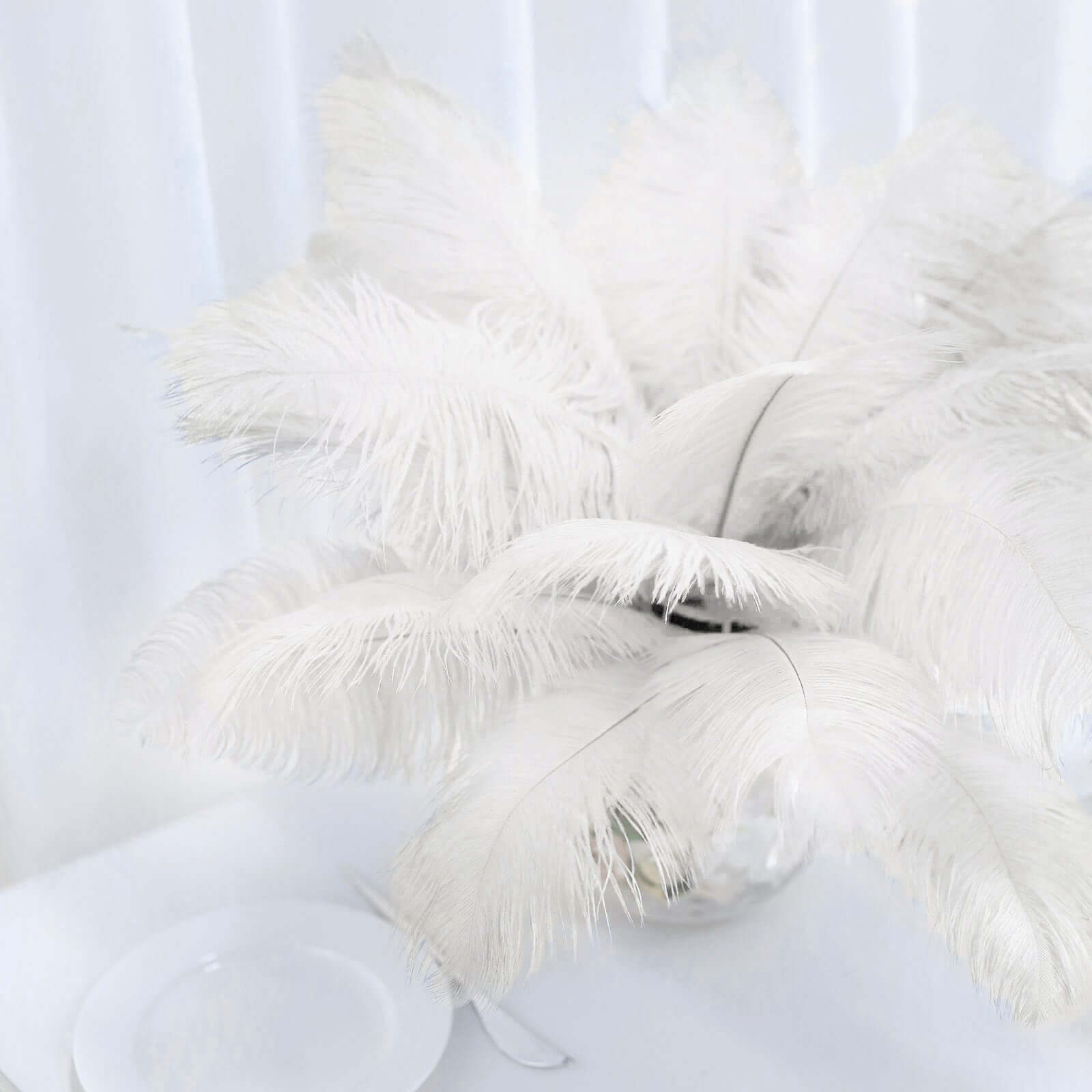 12 Pack 13"-15" Ivory Natural Plume Real Ostrich Feathers, DIY Centerpiece Fillers