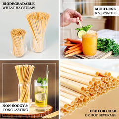 100-Pack Compostable Straws Plant Based 100% Plastic Free - Biodegradable Wheat Straws for Drinks 6"