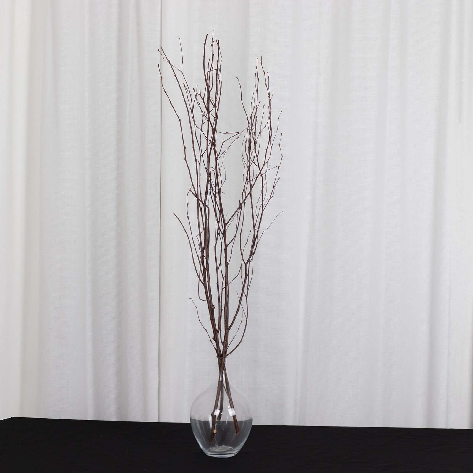 6-Pack Natural Birch Tree Branches 46" Natural - Versatile Extra Long Decorative Dried Willow Twigs Sticks for Vase Centerpiece Wedding Decor
