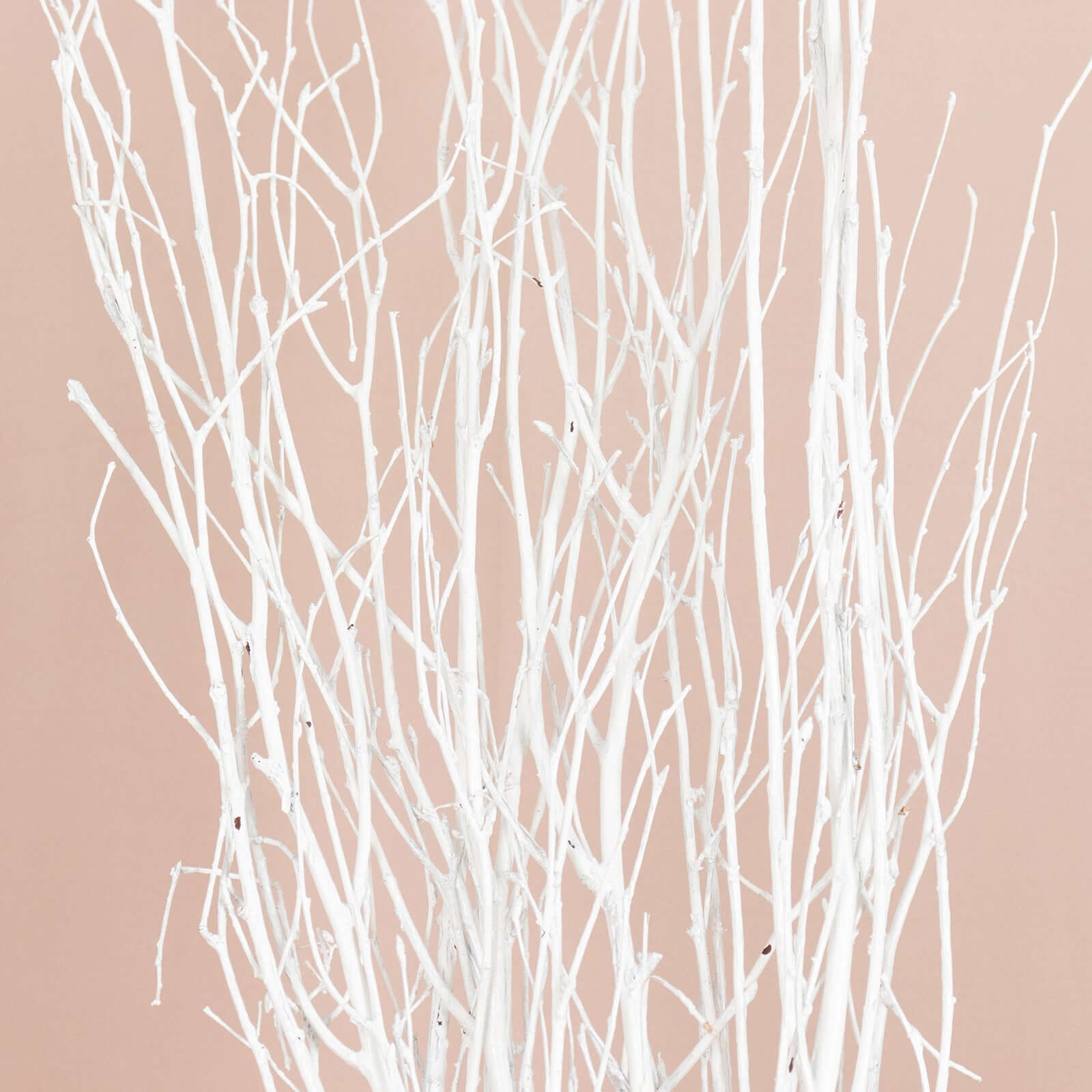 6-Pack Natural Birch Tree Branches 46" White - Versatile Extra Long Decorative Dried Willow Twigs Sticks for Vase Centerpiece Wedding Decor