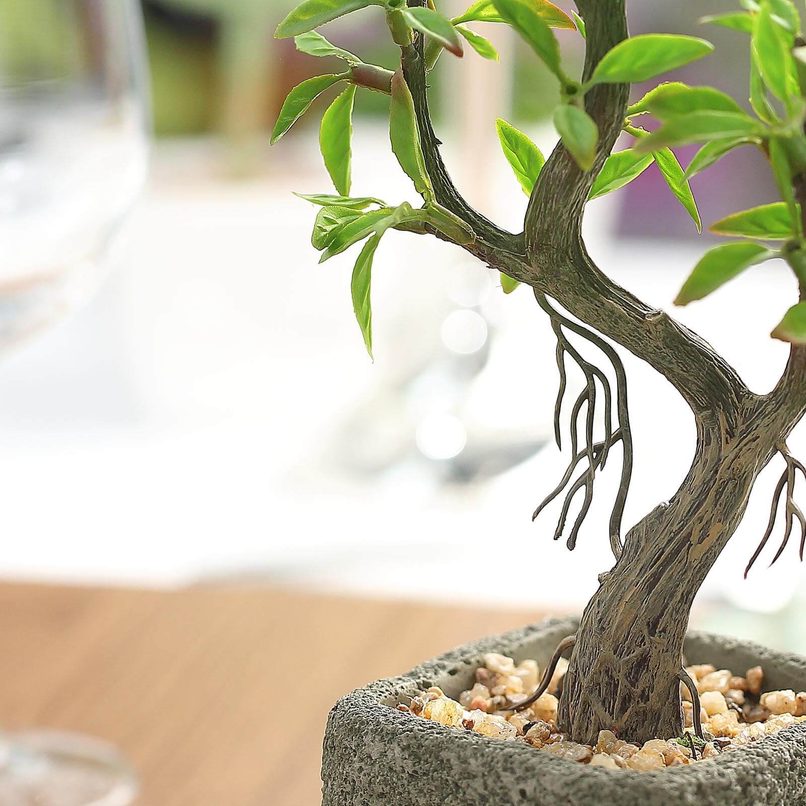 Willow Tree Artificial Succulents in Concrete Pot - Lifelike Decorative Faux Plants for Home Office & Event Design 9"