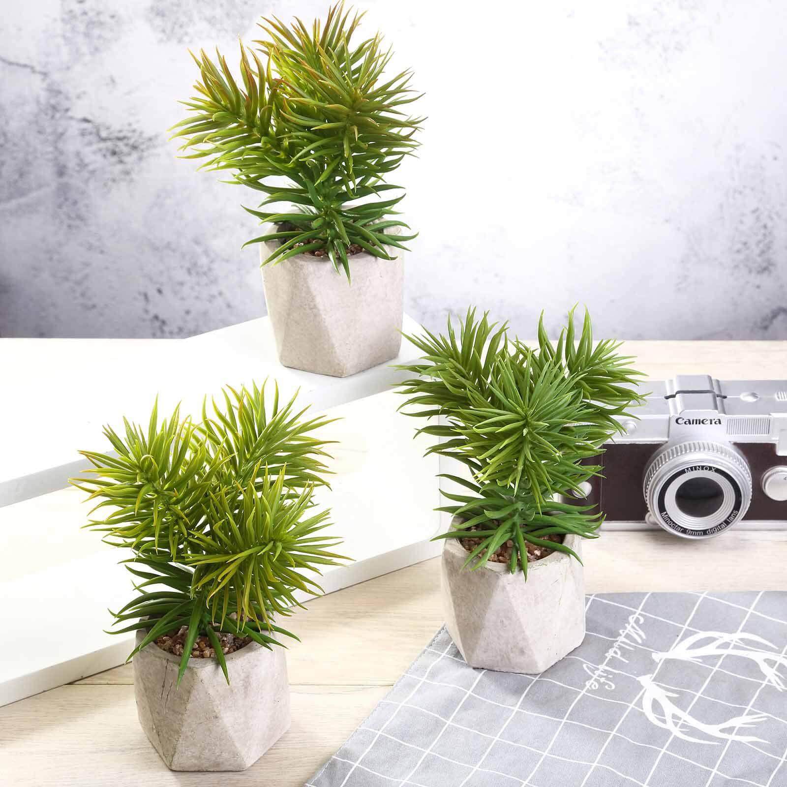 3-Pack Crassula Artificial Succulents in Geometric Ceramic Pot - Lifelike Decorative Faux Plants for Home Office & Event Design 8"