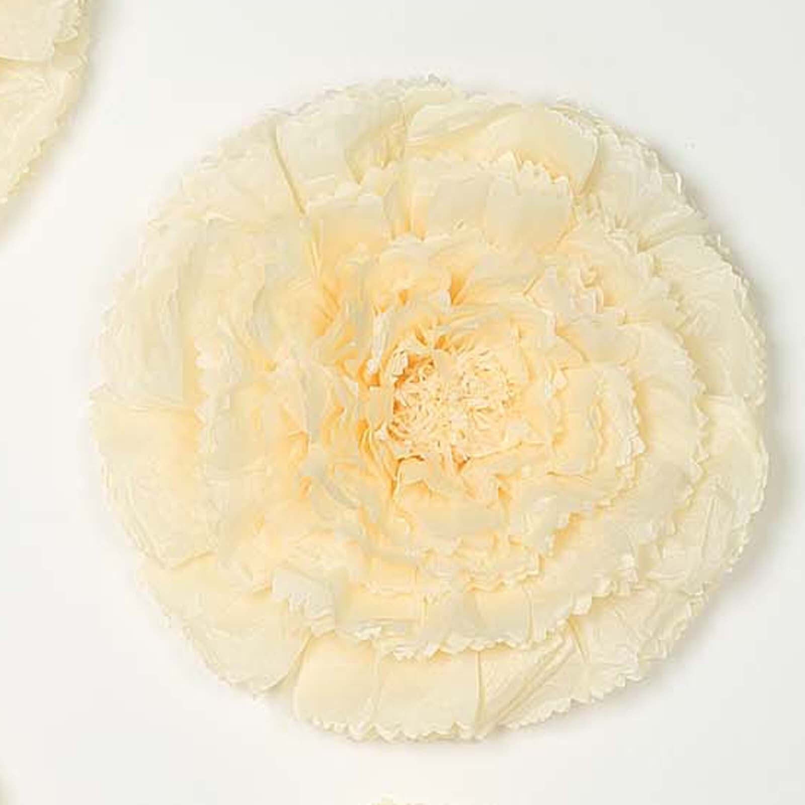 Set of 6 Ivory Cream Giant Carnation 3D Paper Flowers Wall Decor - 12",16",20"