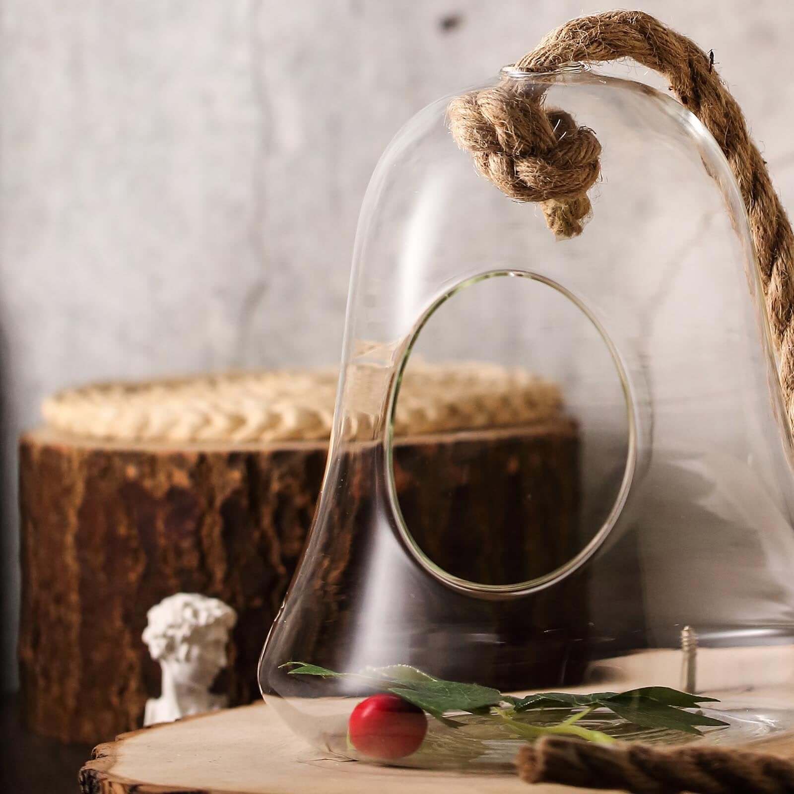 Glass Terrarium Hanging Bell Shaped Design with Twine Rope - Unique Free-Falling Planter for Air Plants & Displays 9"