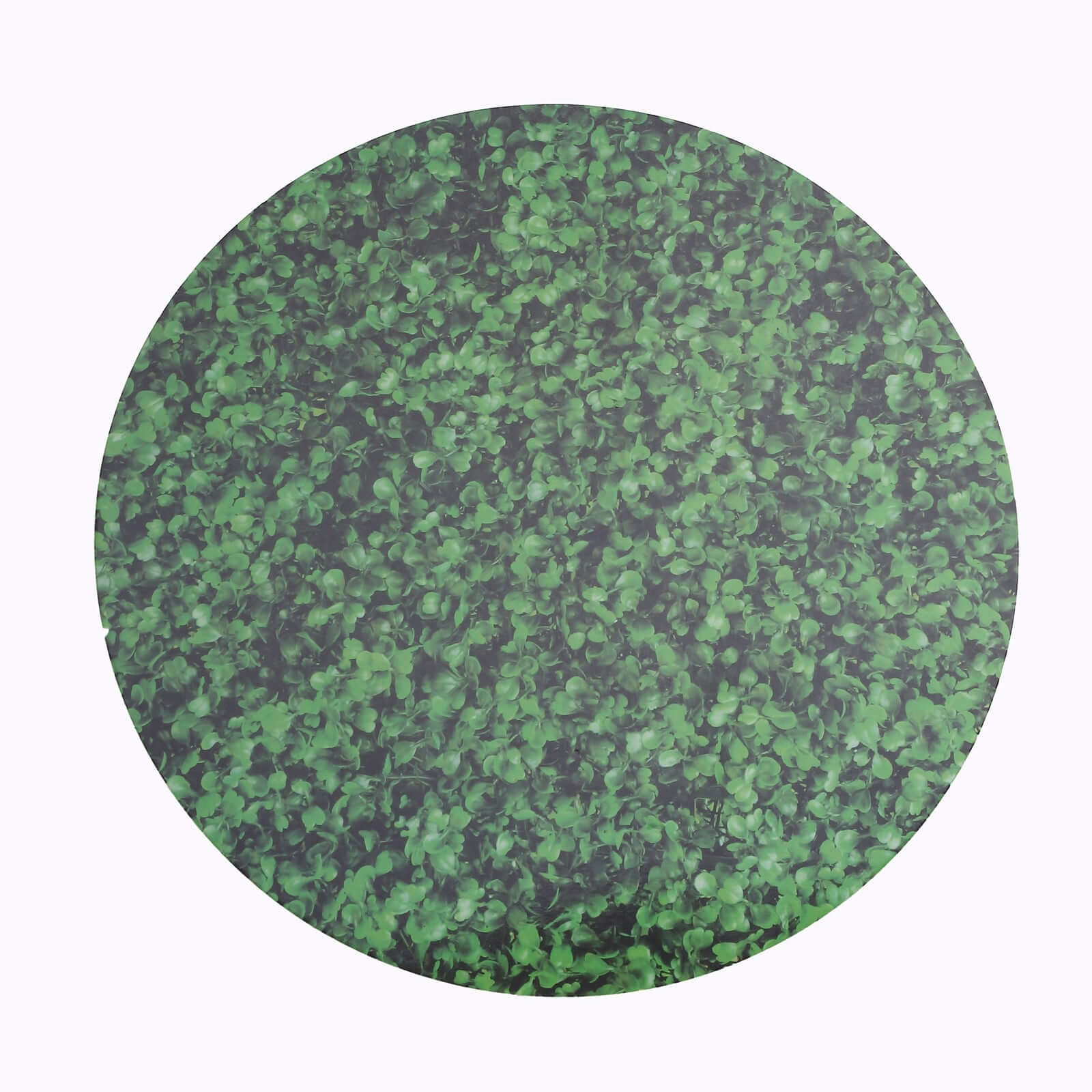 6-Pack Disposable Table Placemats in Green Boxwood Leaf Print - 700GSM Cardboard Placemats for Forest & Garden Theme Party Decor 13"