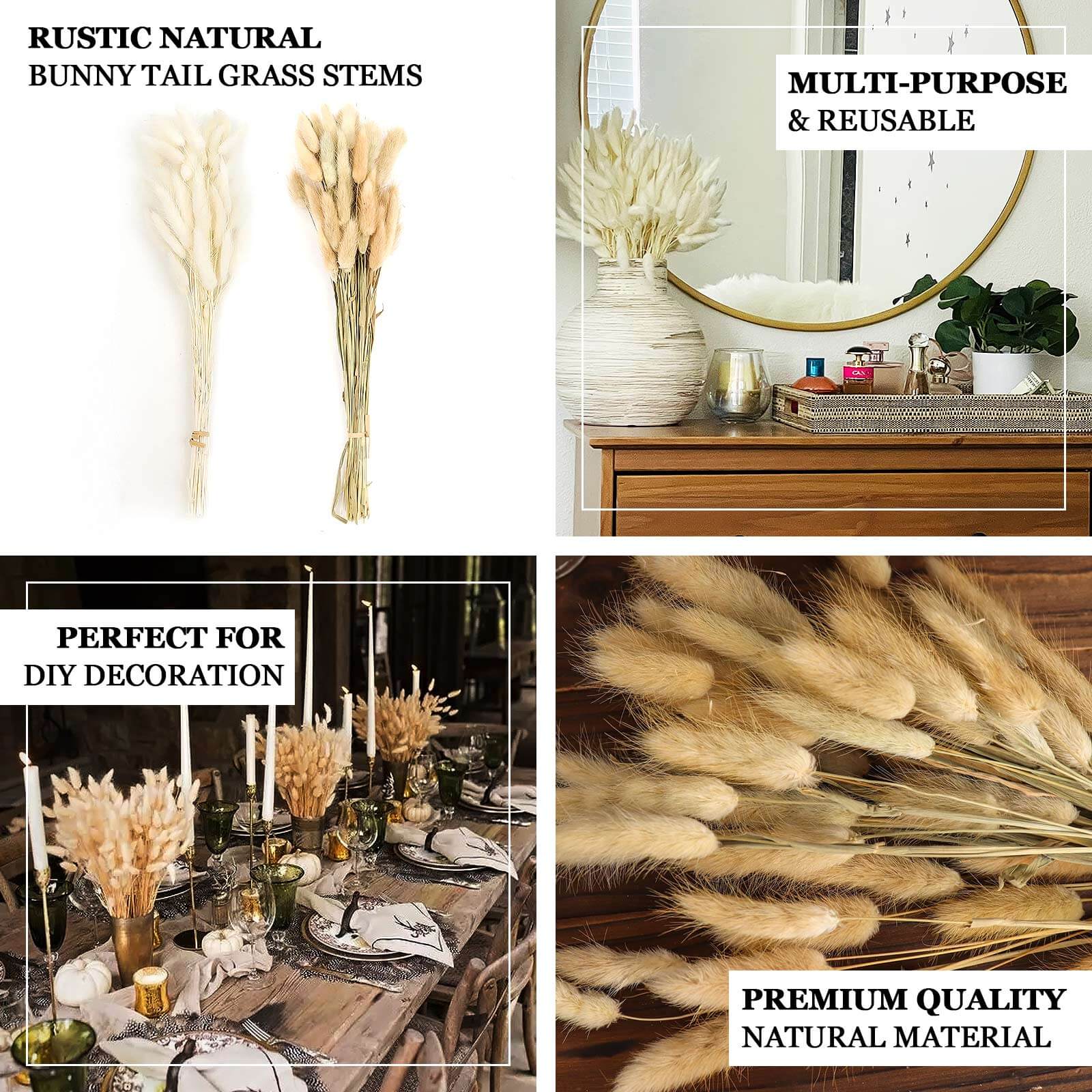 50-Pack Dried Bunny Tail Grass Natural - Rustic Chic Lagurus Ovatus Rabbit Tail Ornamental Grass for Modern Farmhouse Decor Event Styling & Floral Displays 15"