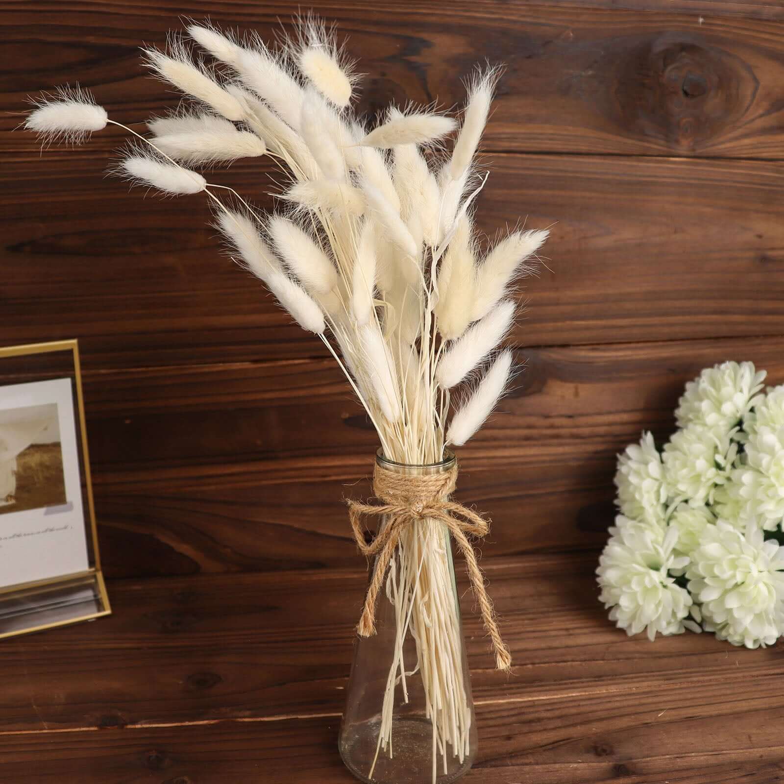 50-Pack Dried Bunny Tail Grass Natural White for Farmhouse Decor Event & Floral Displays 15"