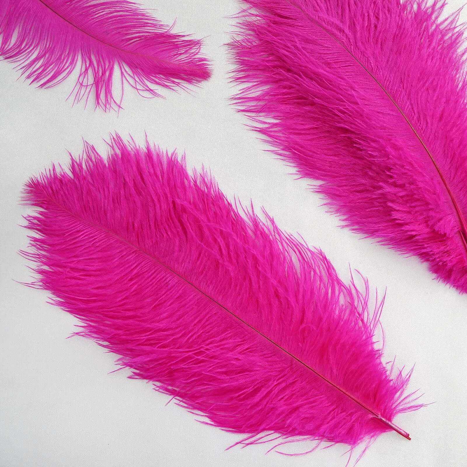 12 Pack 13"-15" Fuchsia Natural Plume Real Ostrich Feathers, DIY Centerpiece Fillers