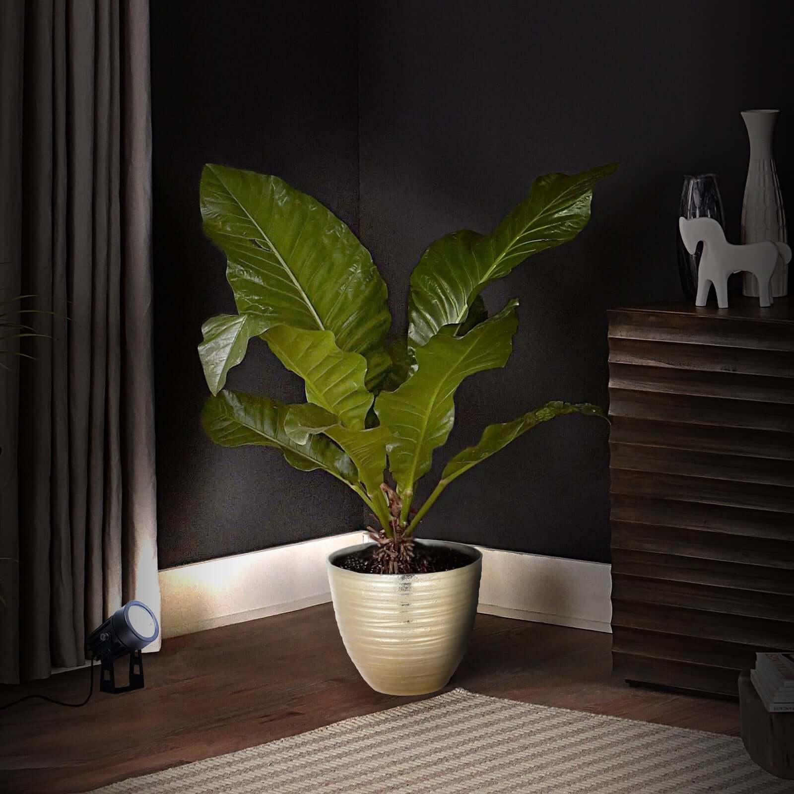 6W Bright White LED Backdrop Uplight, Indoor Outdoor Landscape Spotlight