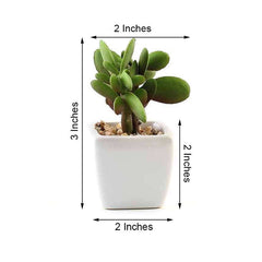 3-Pack Mini Jade Artificial Succulents in Ceramic Pots - Lifelike Decorative Faux Plants for Home Office & Event Design 3"