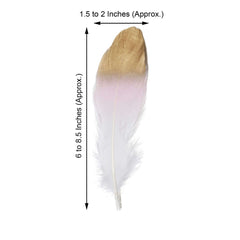 30-Pack Goose Feathers Craft Feathers Metallic Gold Tip Dual Tone Blush White - Decorative Feathers for DIY Projects