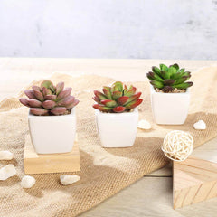 3-Pack Echeveria Elegans Artificial Succulents in Ceramic Pot - Lifelike Decorative Faux Plants for Home Office & Event Design 3"