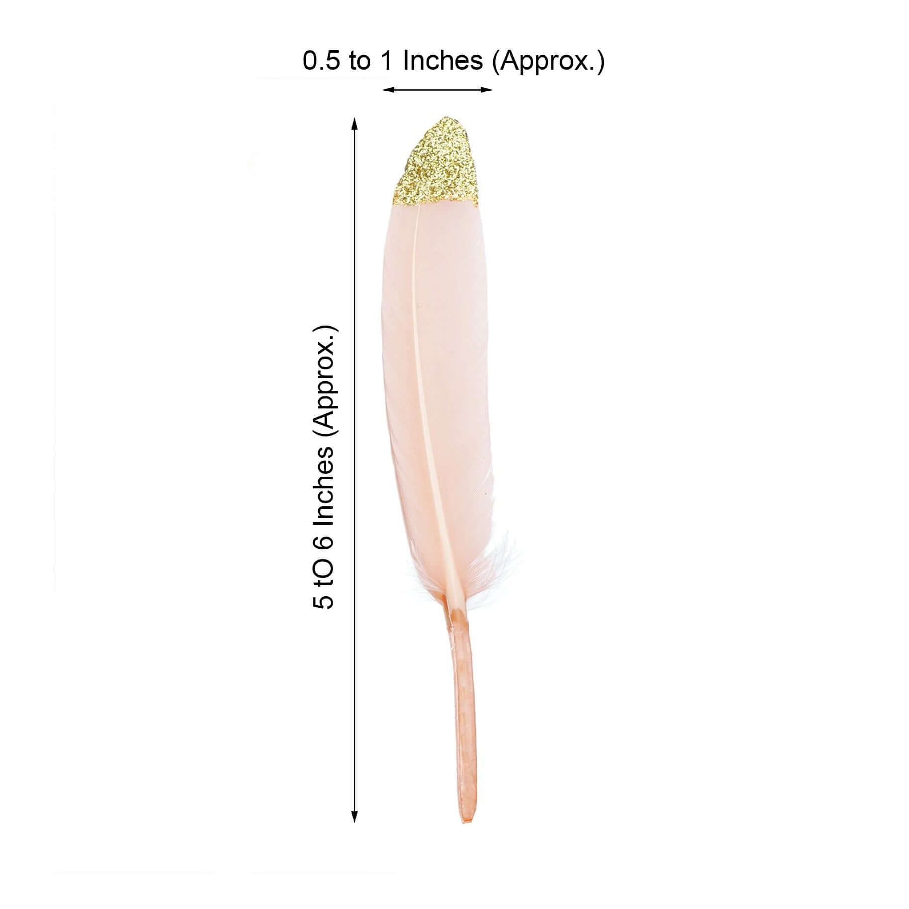 30-Pack Turkey Feathers Craft Feathers Glitter Gold Tip Blush - Decorative Feathers for DIY Party Projects