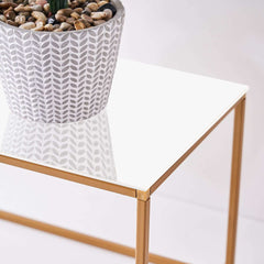 2-Pack Acrylic Plexiglass Sheets Rectangular Side Plates White - Protective Film Coating 24"x10"