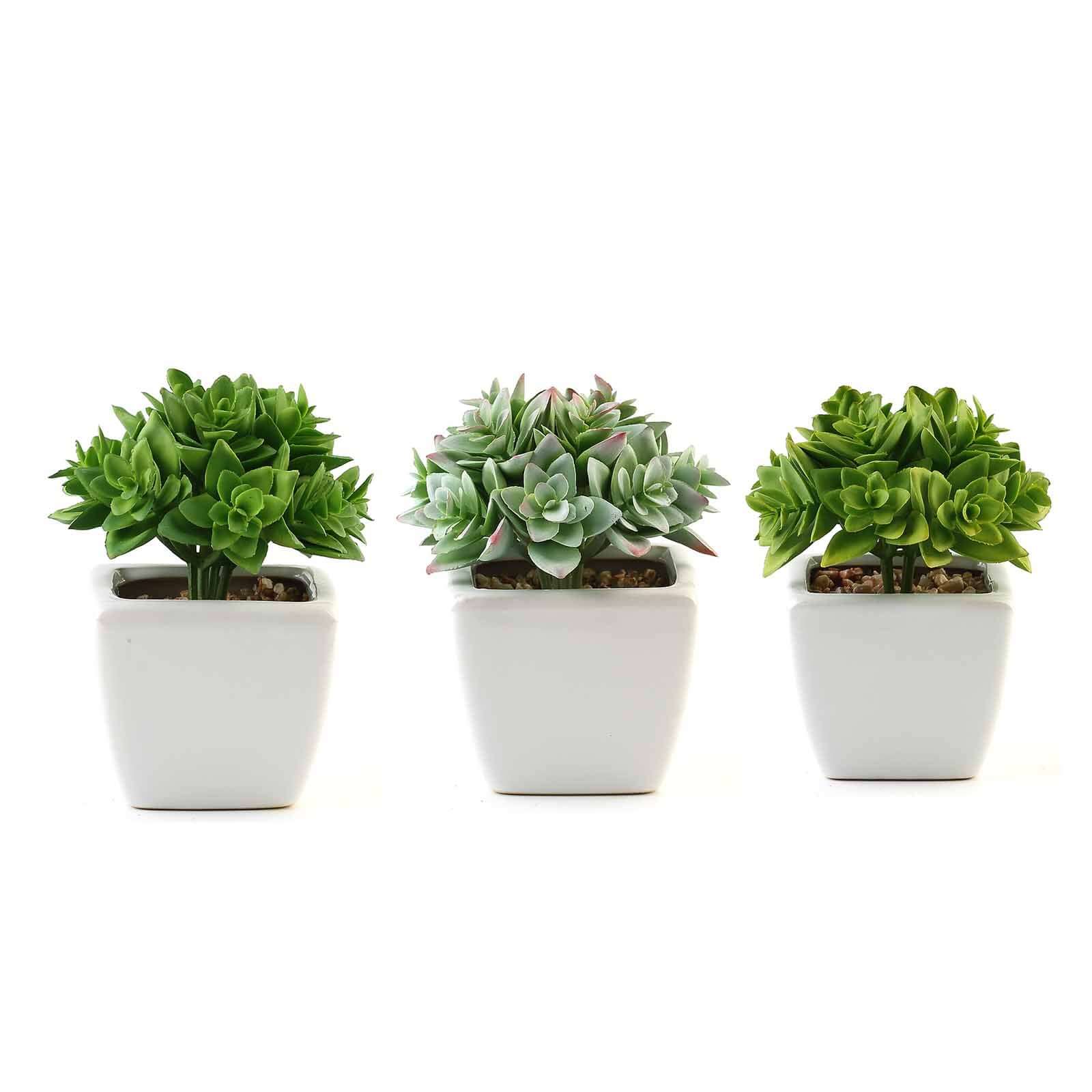 3-Pack Echeveria Artificial Succulents in Ceramic Pot Green - Lifelike Decorative Faux Plants for Home Office & Event Design 4"