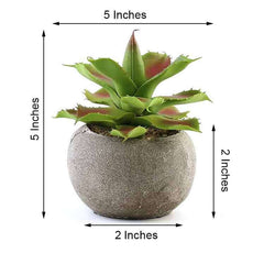 3-Pack Aloe Artificial Succulents in Ceramic Pot - Lifelike Decorative Faux Plants for Home Office & Event Design 5"