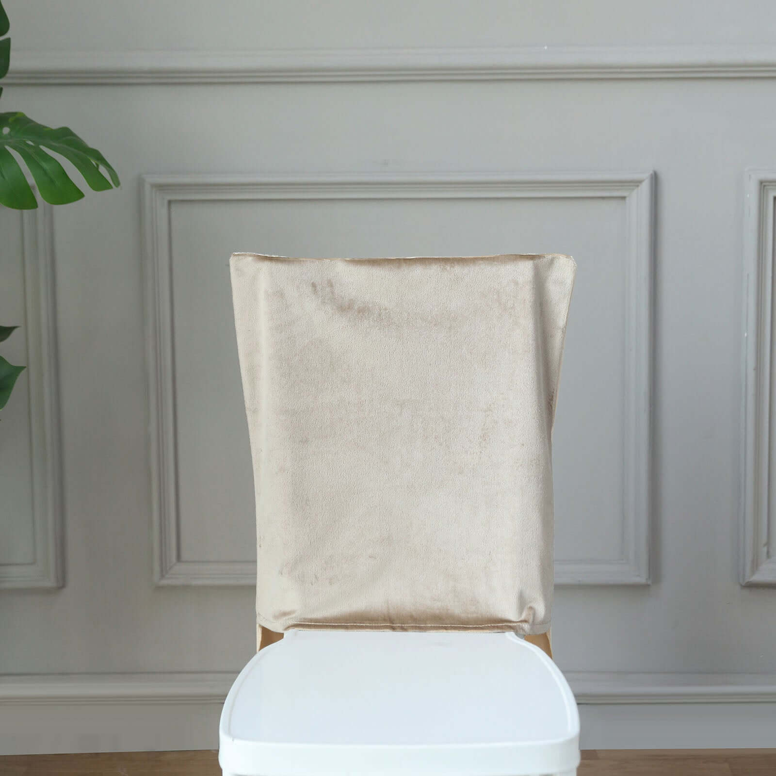 Velvet Chair Back Slipcover for Chiavari Chairs Champagne - Soft and Smooth Solid Chair Back Cover Cap