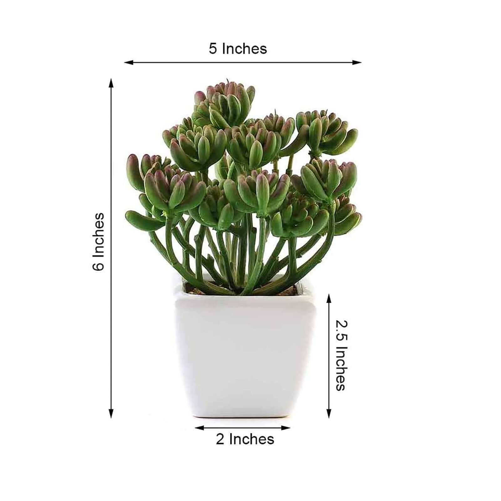 3-Pack Stonecrop Artificial Succulents in Ceramic Pots - Lifelike Decorative Faux Plants for Home Office & Event Design 7"