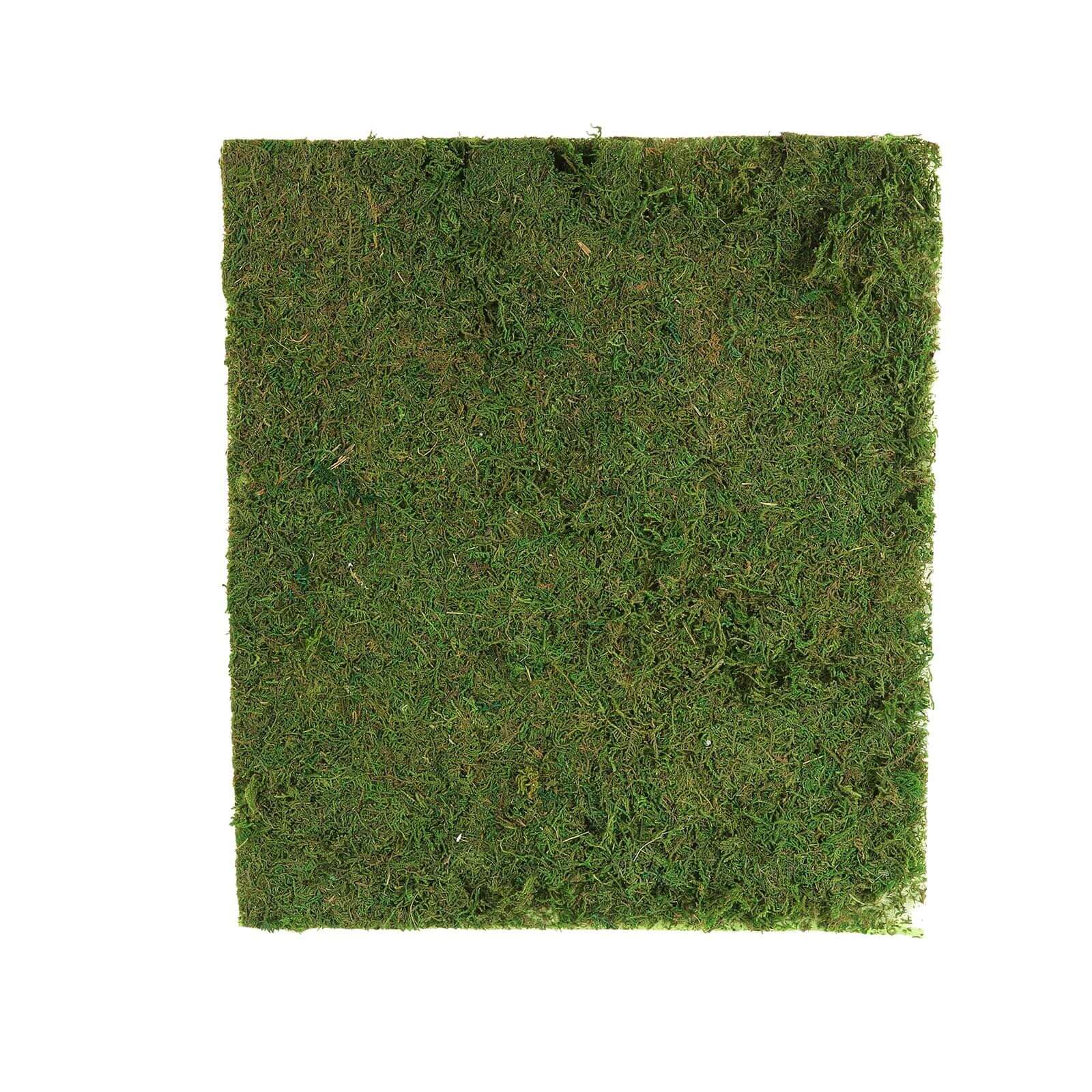 18"x16" Preserved Natural Moss Wall Sheet Roll, Moss Landscape Panel