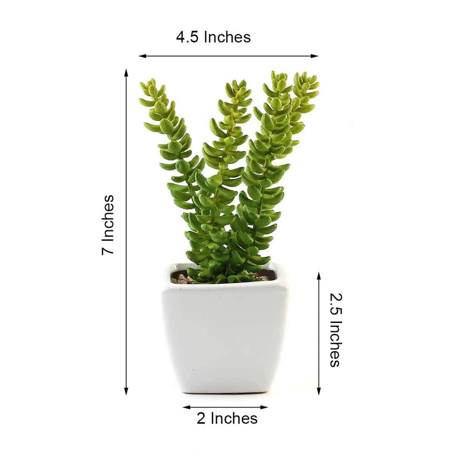 3-Pack Sedum Artificial Succulents in Ceramic Pot - Lifelike Decorative Faux Plants for Home Office & Event Design 8"