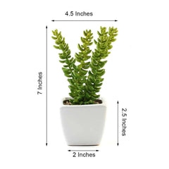 3-Pack Sedum Artificial Succulents in Ceramic Pot - Lifelike Decorative Faux Plants for Home Office & Event Design 8"