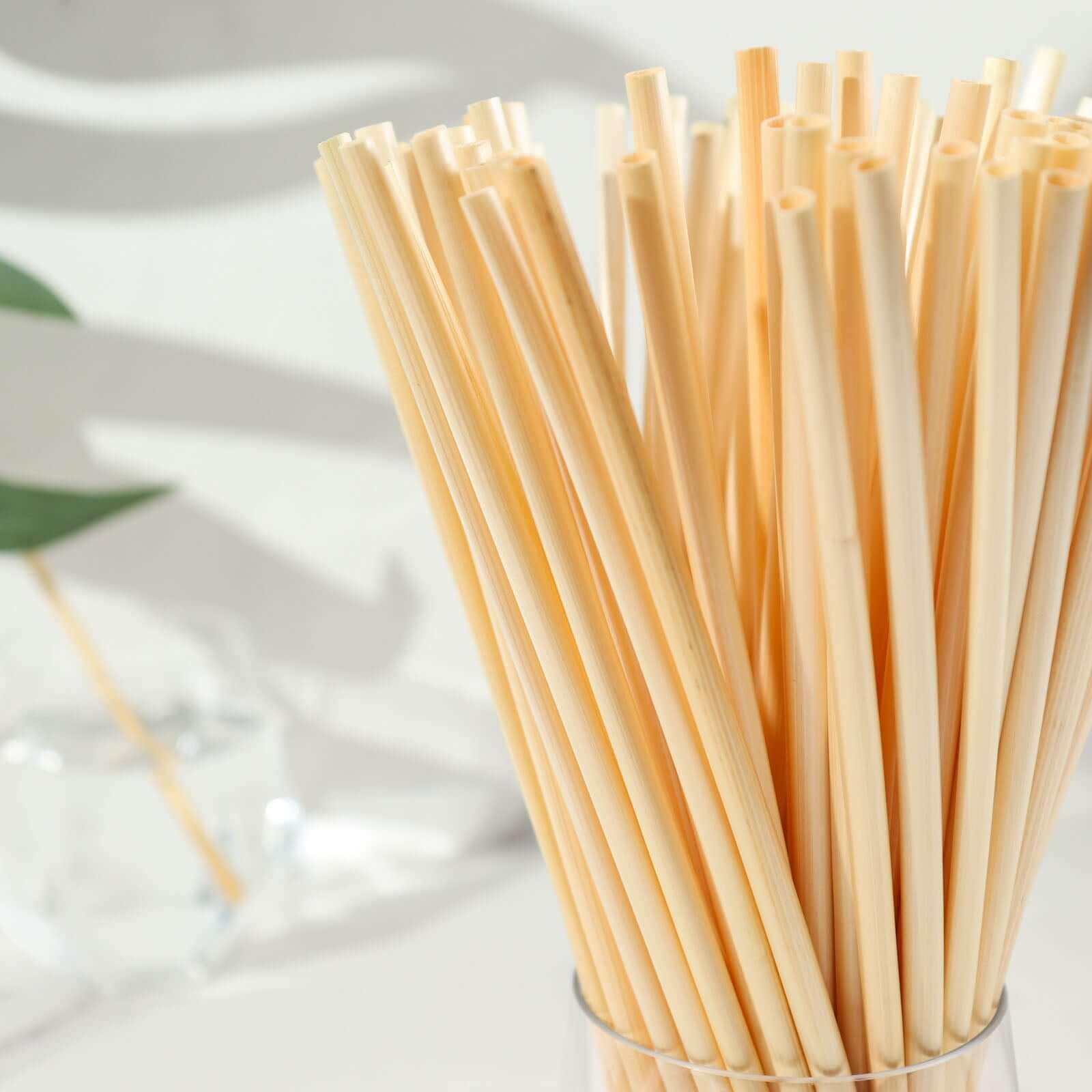 100-Pack Compostable Straws Plant Based 100% Plastic Free - Sustainable Biodegradable Wheat Straws 9"