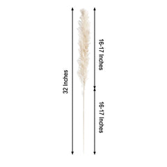 6 Stems Natural Dried Pampas Grass Decor Off White Tint - Versatile Plant Sprays for Boho Chic Vase Displays Backdrops & Event Styling 32"