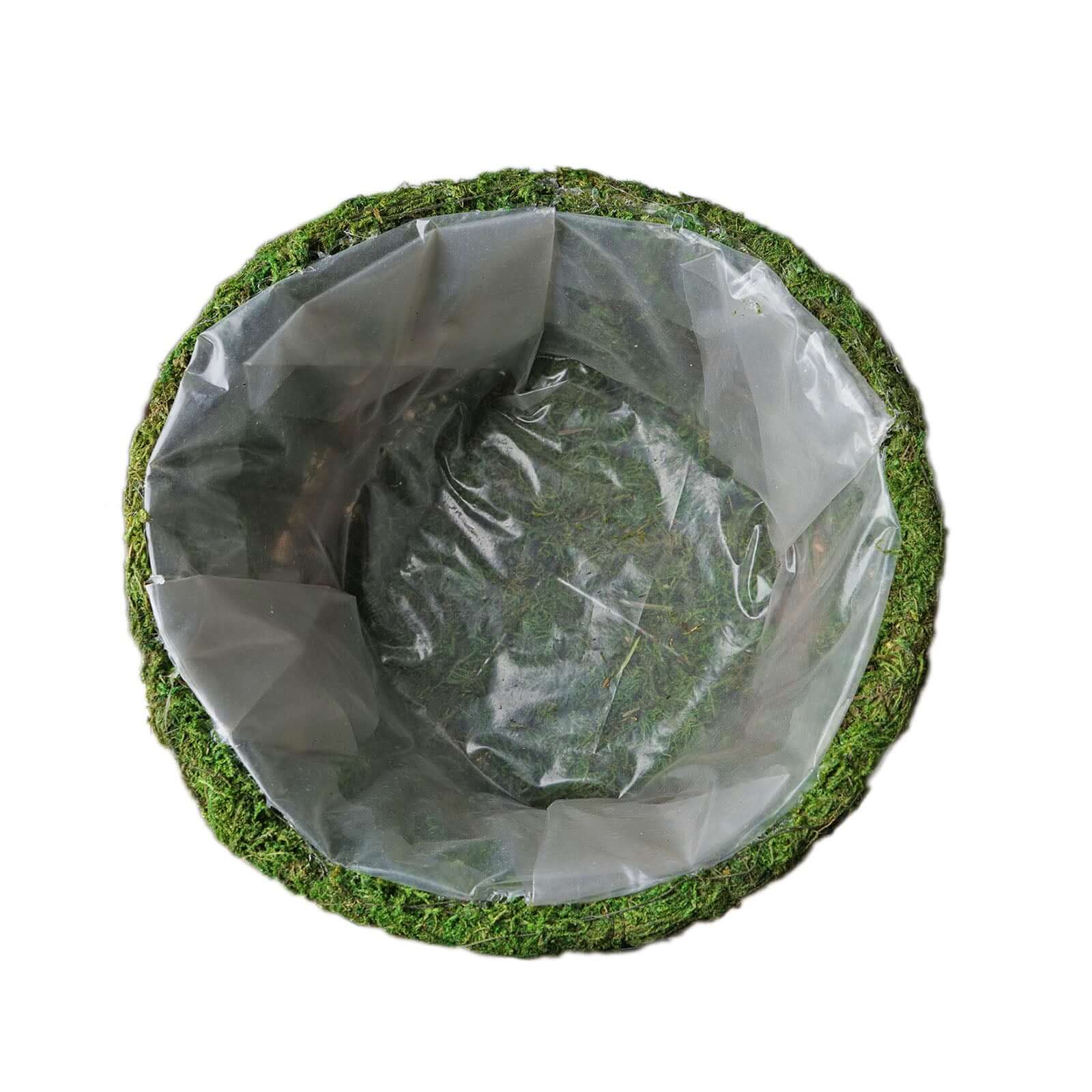 Set of 2 Teacup Shaped Planter Boxes Preserved Moss with Twine Green - Flower Basket Centerpieces 5", 4"