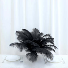 12 Pack 13"-15" Black Natural Plume Real Ostrich Feathers, DIY Centerpiece Fillers
