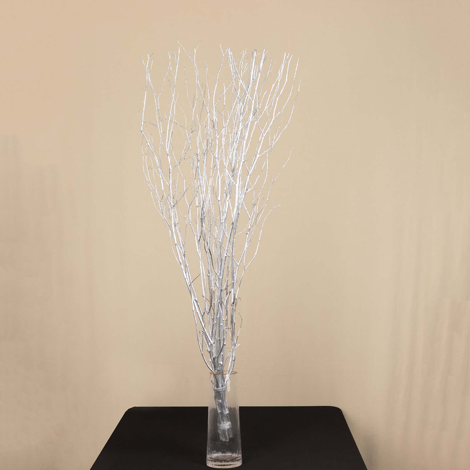 6-Pack Natural Birch Tree Branches 46" Metallic Silver - Versatile Extra Long Decorative Dried Willow Twigs Sticks for Vase Centerpiece Wedding Decor