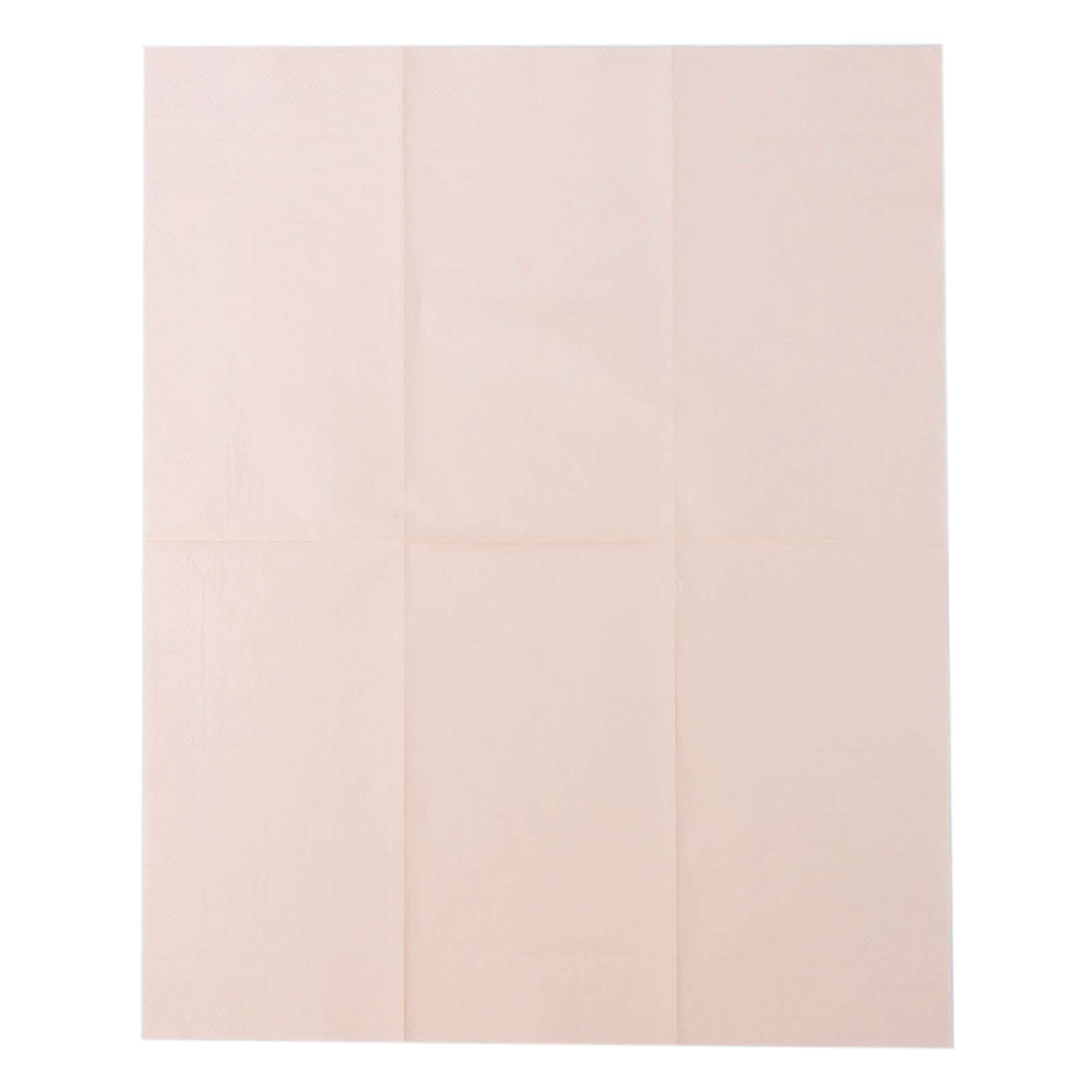 50-Pack Paper Napkins Blush - Soft Disposable 2-Ply Dinner Napkins for Weddings